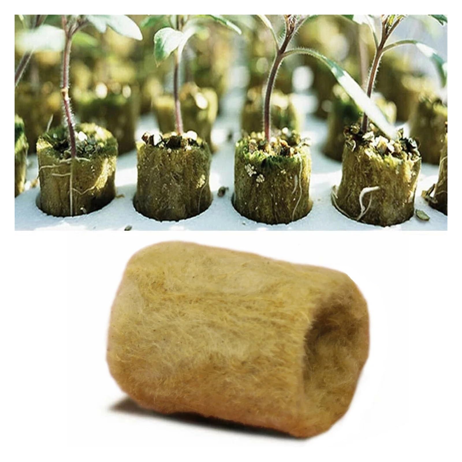Kostki do uprawy roślin z wełny， 50/100 sztuk Gąbka do sadzenia, nasiona, sadzonki, wtyczka do uprawy(50pcs)