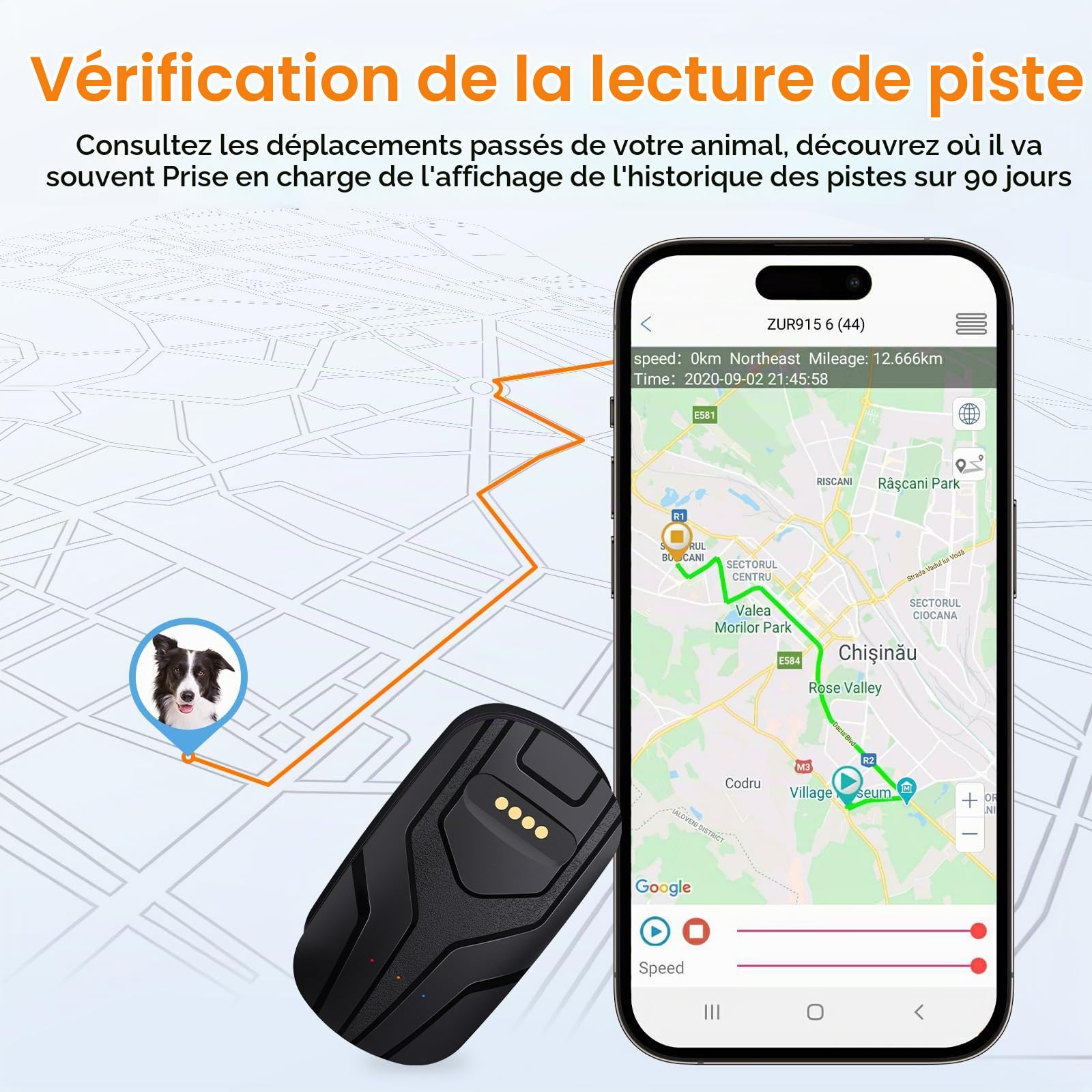 Collier GPS pour Chiens, Dog Tracker, GPS+WiFi+LBS Localisation Globale en Direct, Plusieurs Alertes Intelligentes, Lecture de Trace Historique, Surveillance de l'activité, rappel vocal à dist