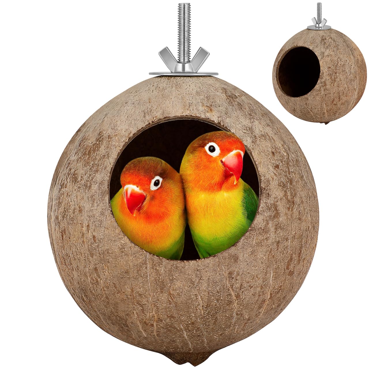 Coconut Bird Nest With Ladder - Natural And Eco-Friendly Bird Cage
