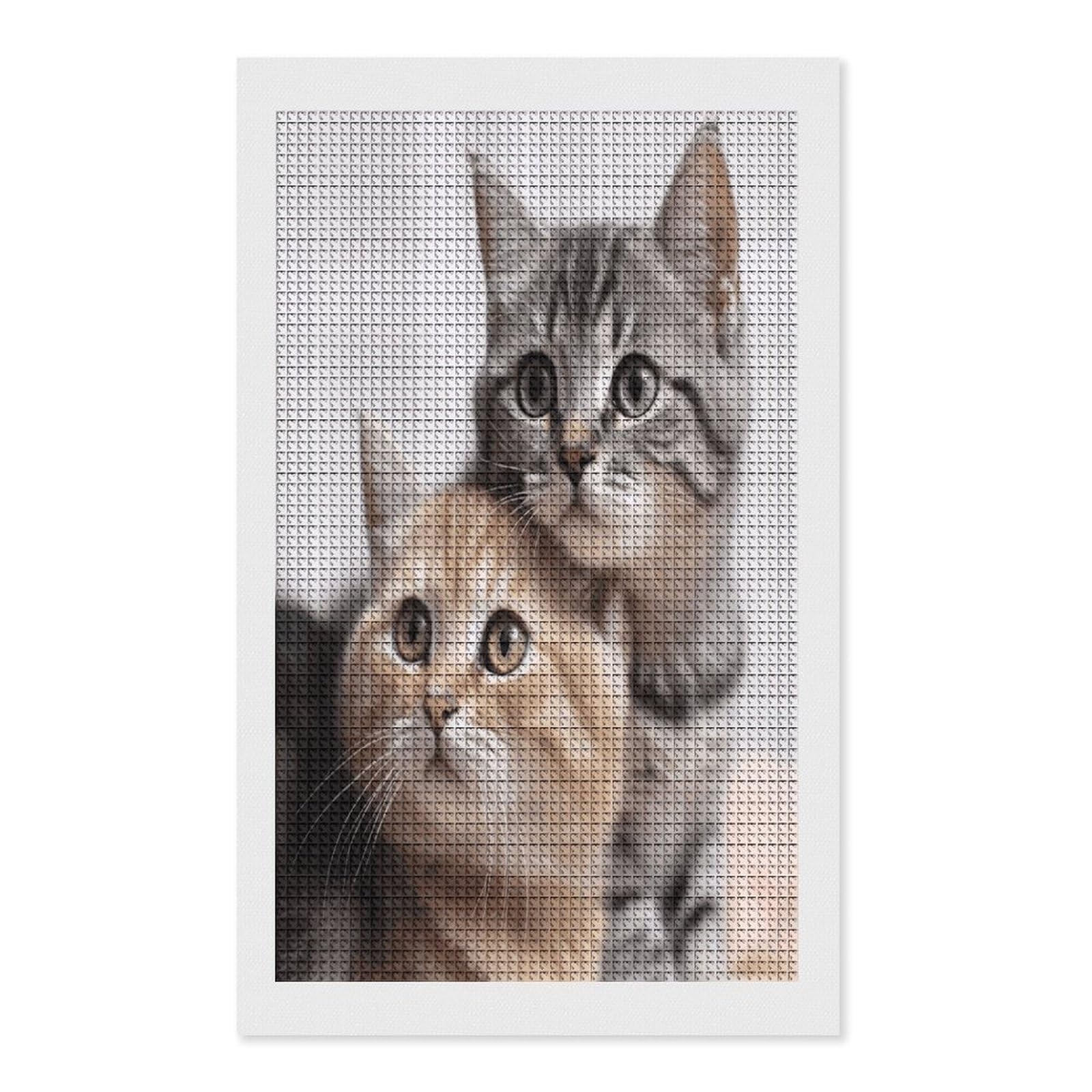 FodPand Cats Diamond Painting Kit for Beginner Fun 5D DIY Crafts for Adults Diamond Art Kits Square Diamond Art Canvas Painting Gem Art Crafts for Home Wall Decor 12"x20"