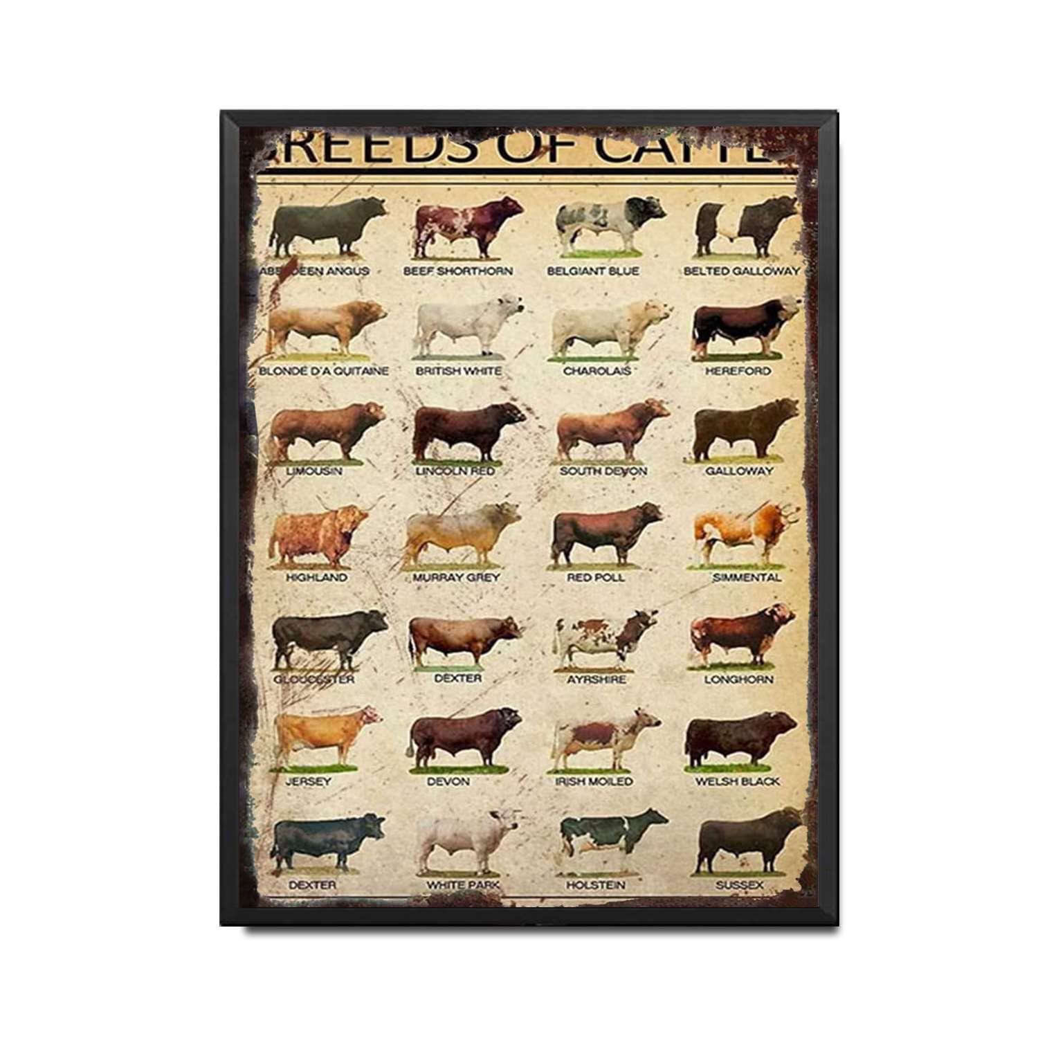 HYCLAM Tin Sign Breeds of Cattle Cow Restoring Ancient Ways Wine Cellar The hotelThe Wall Decorate Painting 12x16inch-Metal Frame