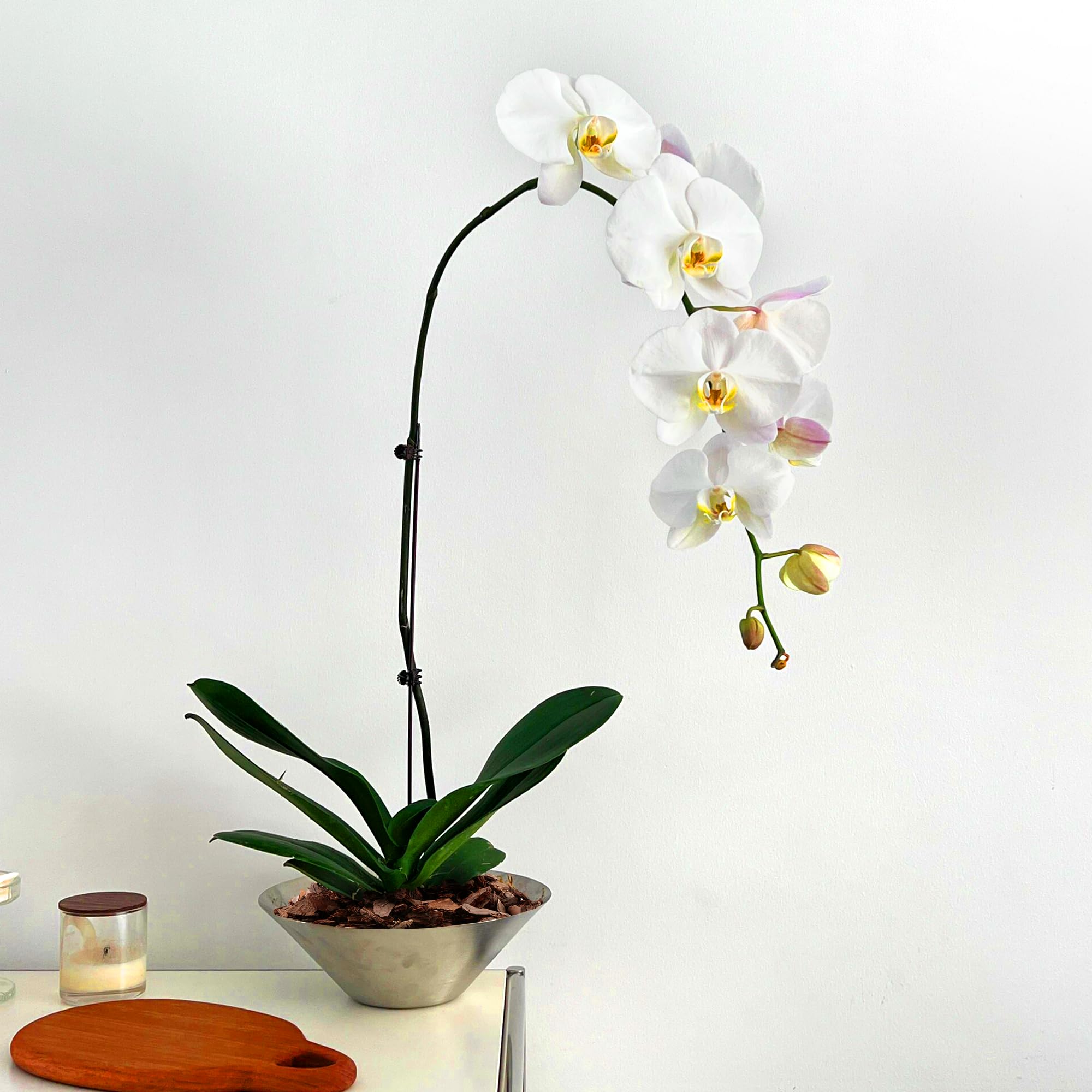AVALUTION Écorce d'orchidée biologique pour plantes - 9QT - Copeaux de bois d'écorce de pin naturel pour paillis de plantes d'intérieur, développement des racines des plantes d'orchidées, paillis pour