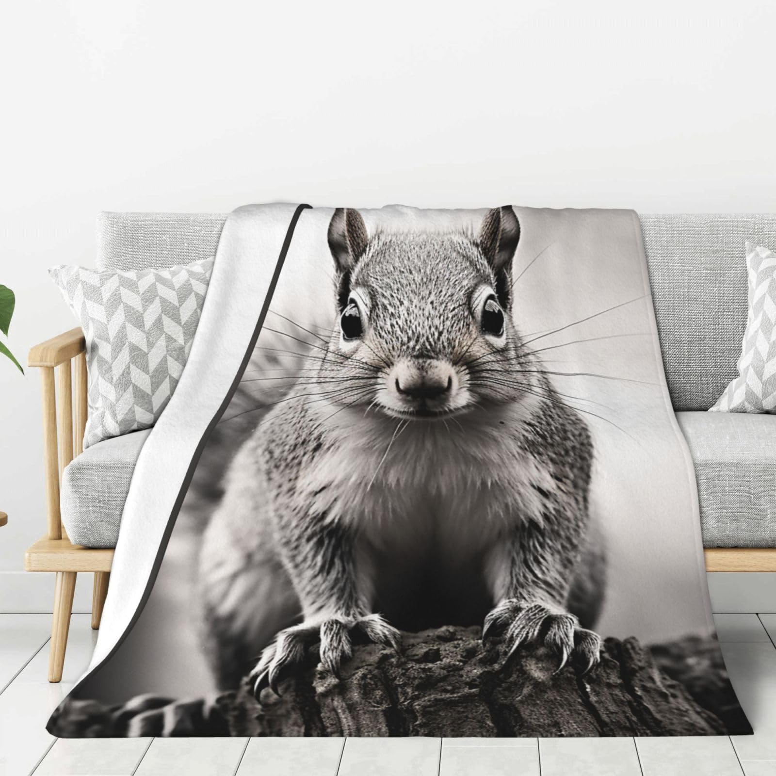 Light Gray Squirrel Throw Blanket Plush Flannel Fleece Blanket, Soft Lightweight Cozy Blankets 80"X60" for Bed Couch Sofa Travel