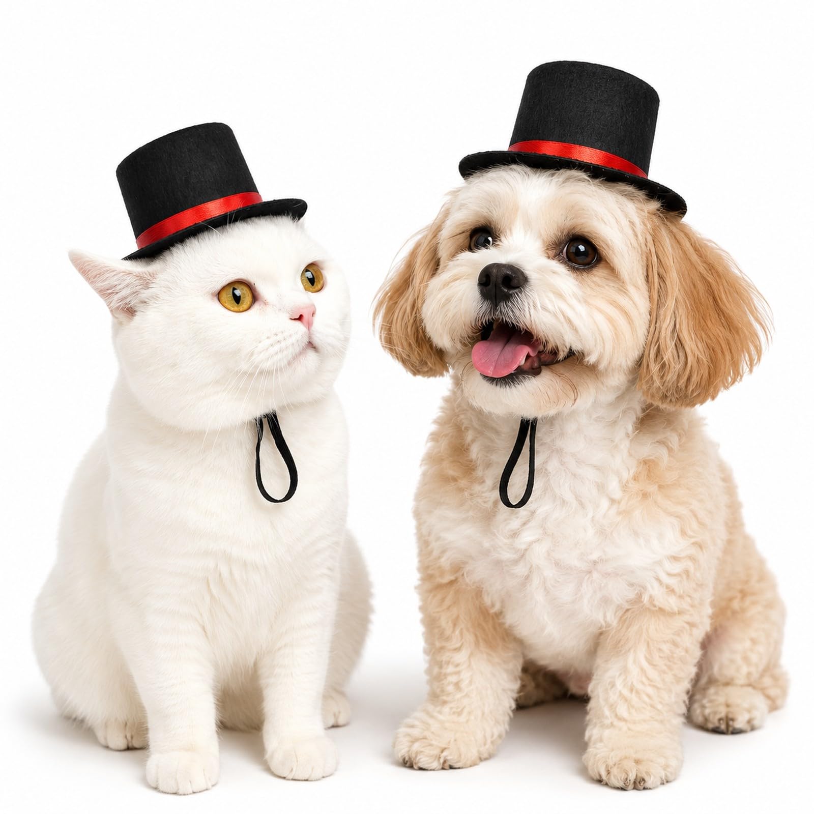 LUOZZY Pet Top Hat Graduation Dog Cat Hat Pet Costume Hat with Adjustable Strap for Medium and Large Dogs Puppy Pets Christmas Graduation Party