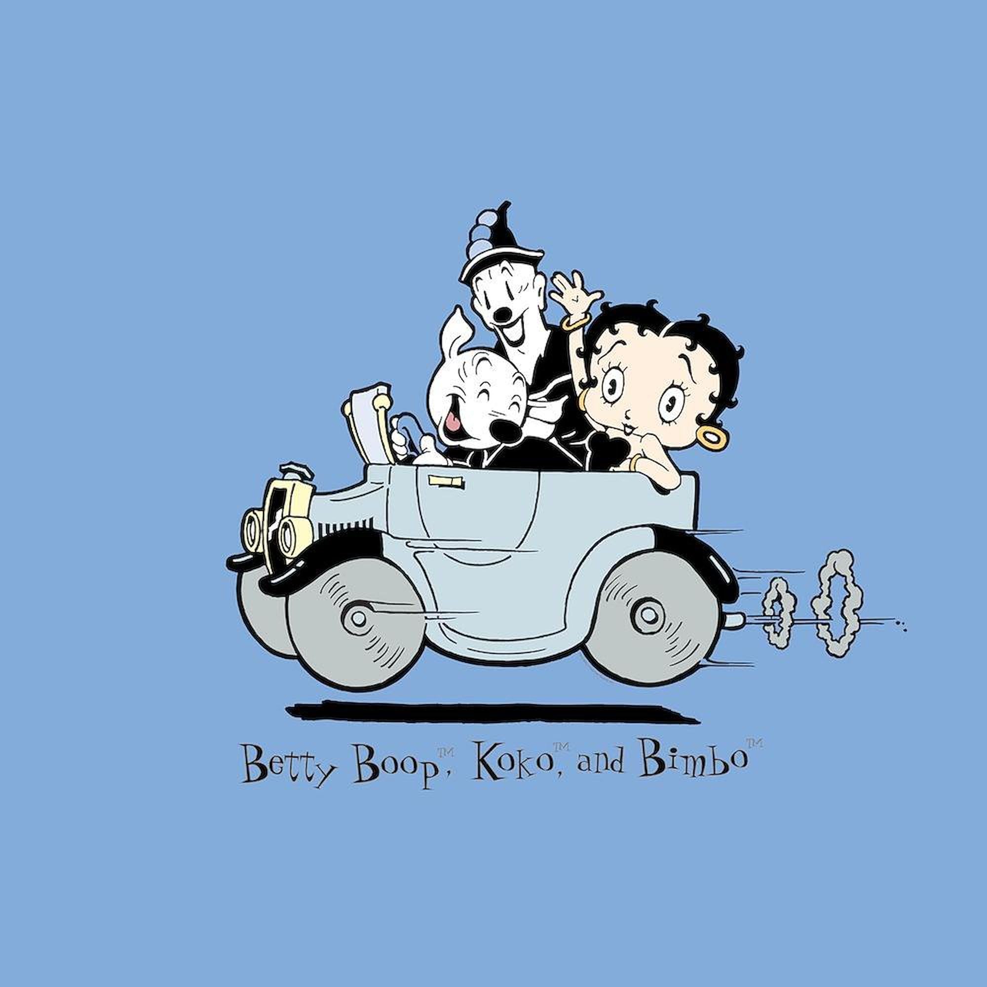 CafePress Betty Boop Clown Car Queen Duvet Cover, Printed Comforter Cover, Unique Bedding