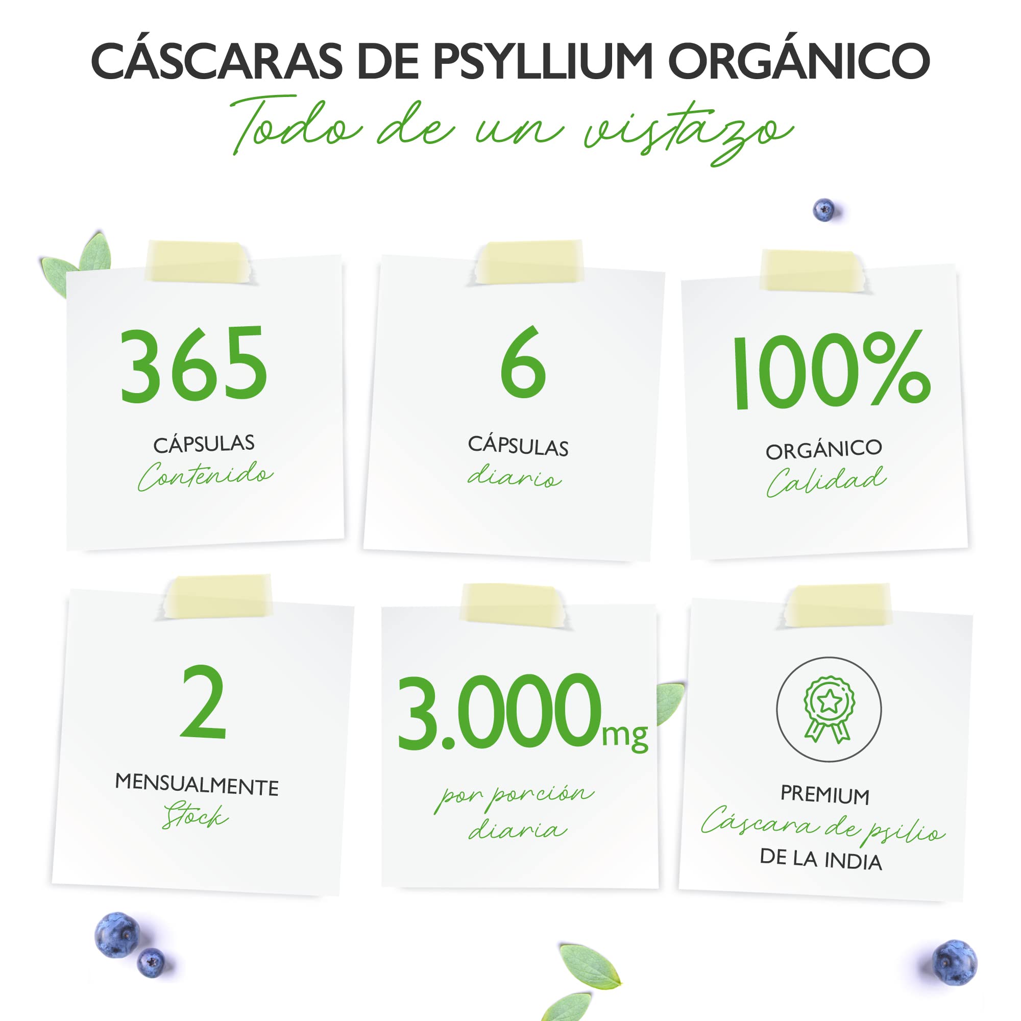 Cáscaras de psyllium orgánico - 365 cápsulas veganas - 3000 mg por dosis diaria - Premium: 100% psyllium orgánico de la India, 99+% de pureza, finamente molido - Cultivado de forma sostenible