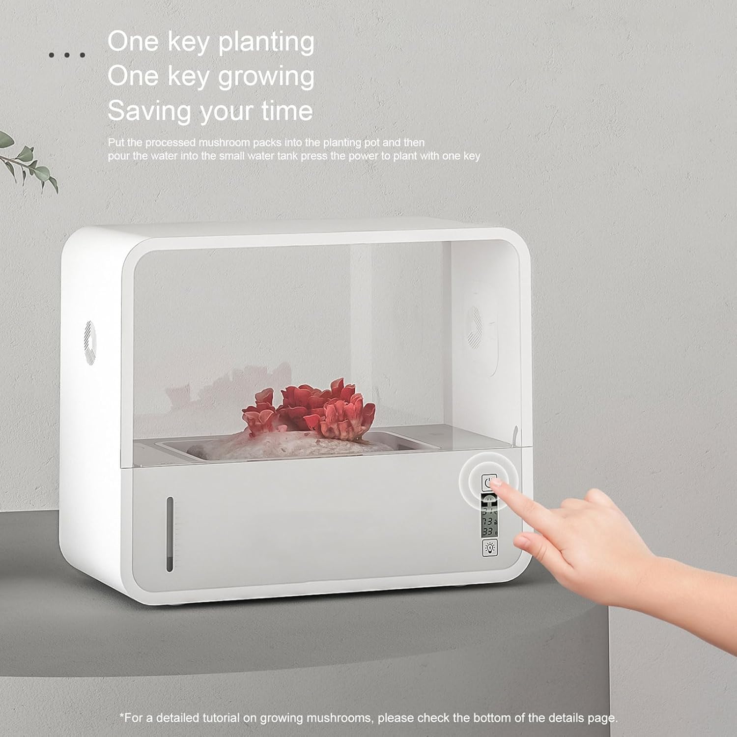 Denash Mushroom Growing Tent, Automatic Humidification and Smart Control System Mushroom Grow Box for Home Cultivation