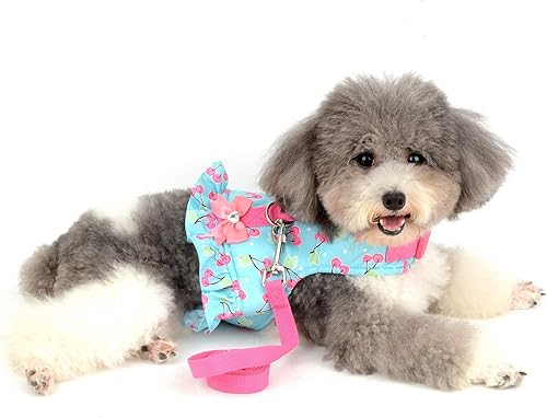 Miniatura 6 de SMALLLEE_LUCKY_STORE Arnés con estampado de cereza, para gatos y perros pequeños, con correa para niñas, ajustable, sin tirones, a prueba de