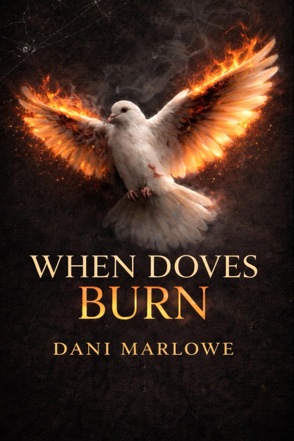 When Doves Burn