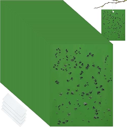 100 trampas adhesivas de 6 x 8 pulgadas para plantas, trampas adhesivas de doble cara para mosquitos con lazos giratorios, trampas adhesivas para