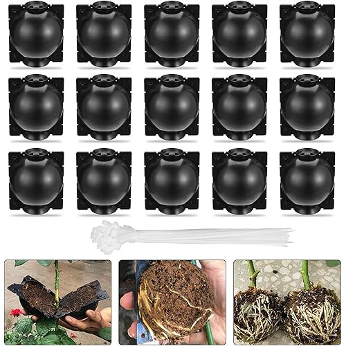 nutroeno 15 pcs Plant Root Growing Box Cloning Ball - Air Layering Reusable Plant Rooting Device, High Pressure Grafting Propagation Ball, Assisted Cutting Rooting for Plants Asexual Reproduction(L)