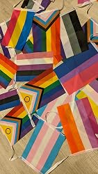 XCFH Rainbow Pride Flaggen-Set – 75 Kleine Handflaggen, 15 Verschiedene LGBTQ-Designs, 12,7x20,3 Cm