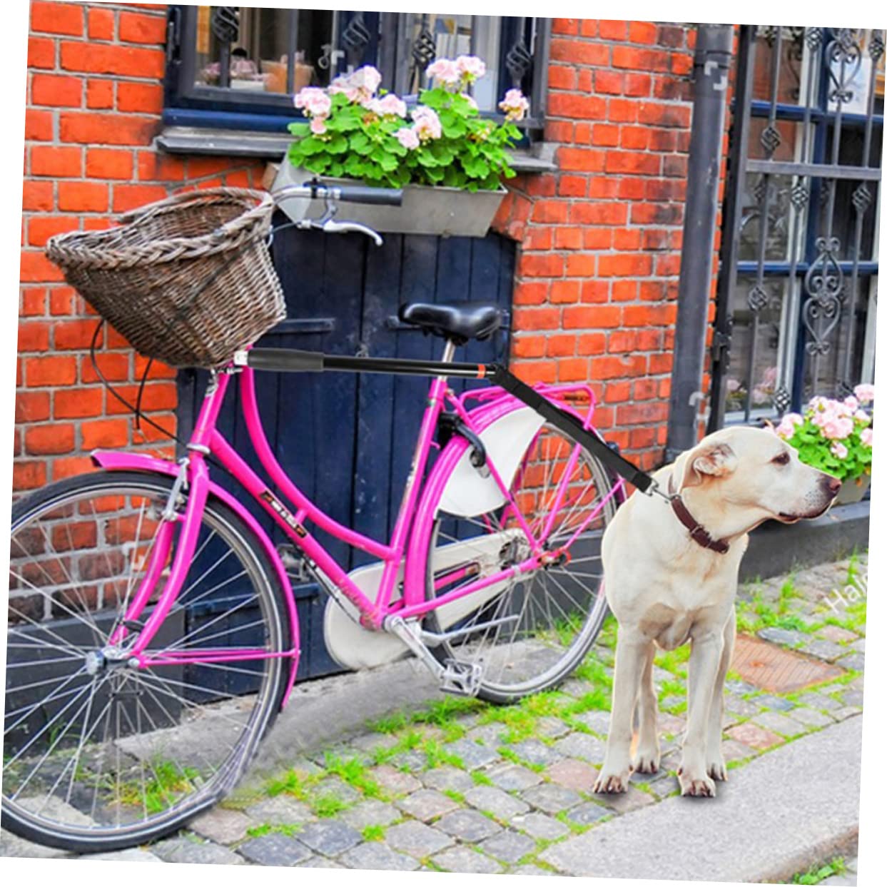 POPETPOP Correa para Perro Desmontable De Metros Cuerda De Tracción para Mascotas para Adiestramiento y Paseos Bicicleta Accesorios para Perros
