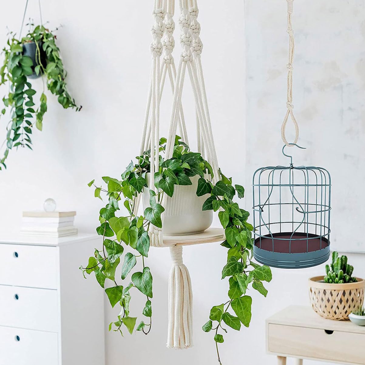 Alipis Lot De 5 Supports Muraux en Macramé pour Pots De Fleurs Robustes Et Sûrs À Suspendre Décoratifs pour La Maison 4 Pièces X 5