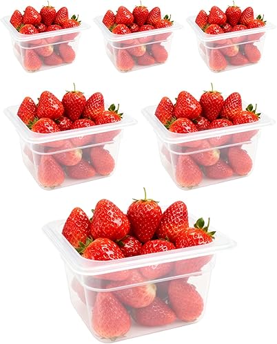 Paquete de 6 bandejas de plástico para alimentos con tapas, tamaño 16 recipientes comerciales de almacenamiento de alimentos para fiestas, catering,