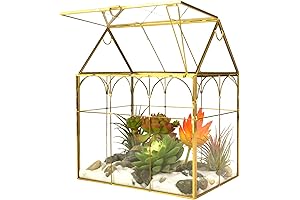 Large Tall Glass Greenhouse
