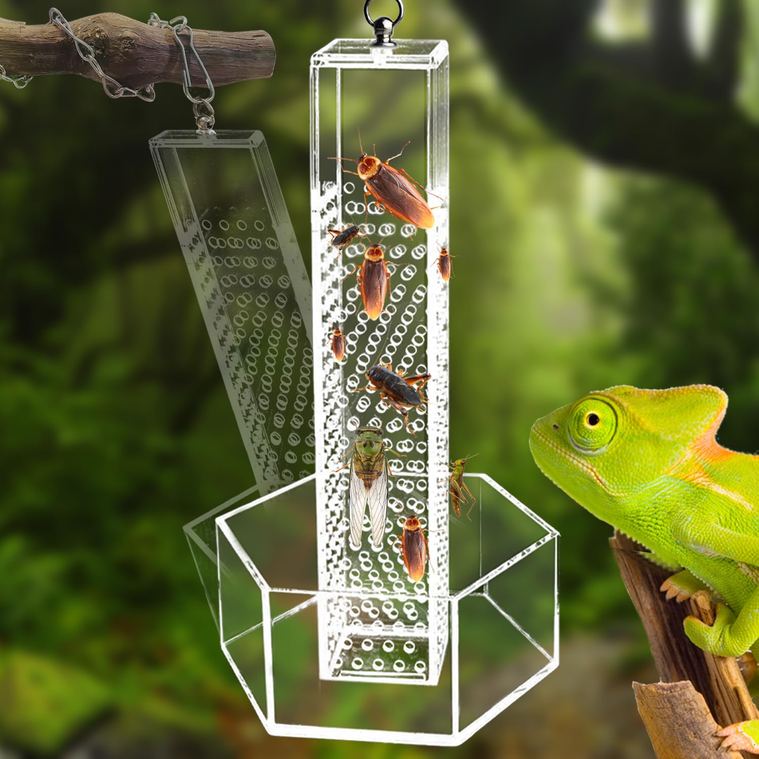 Chameleon Feeding Bowl, Hanging Transparent Acrylic Bearded Dragon Feeder, Hookable Lizard Feeder, Column for Insects to Climb Suitable for Lizard,