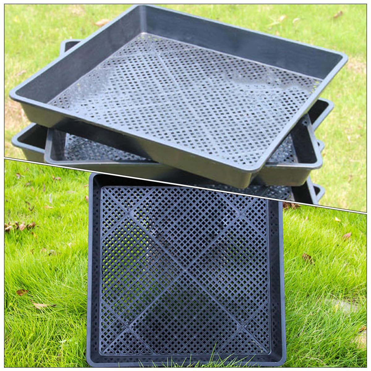 Mipcase Bandeja Cuadrada para Germinación 42X42X5.5 CM Set 5 Piezas Negras, Resistente y Reutilizable para Vivero, Cultivo de Suculentas y Siembra Segura en Casa