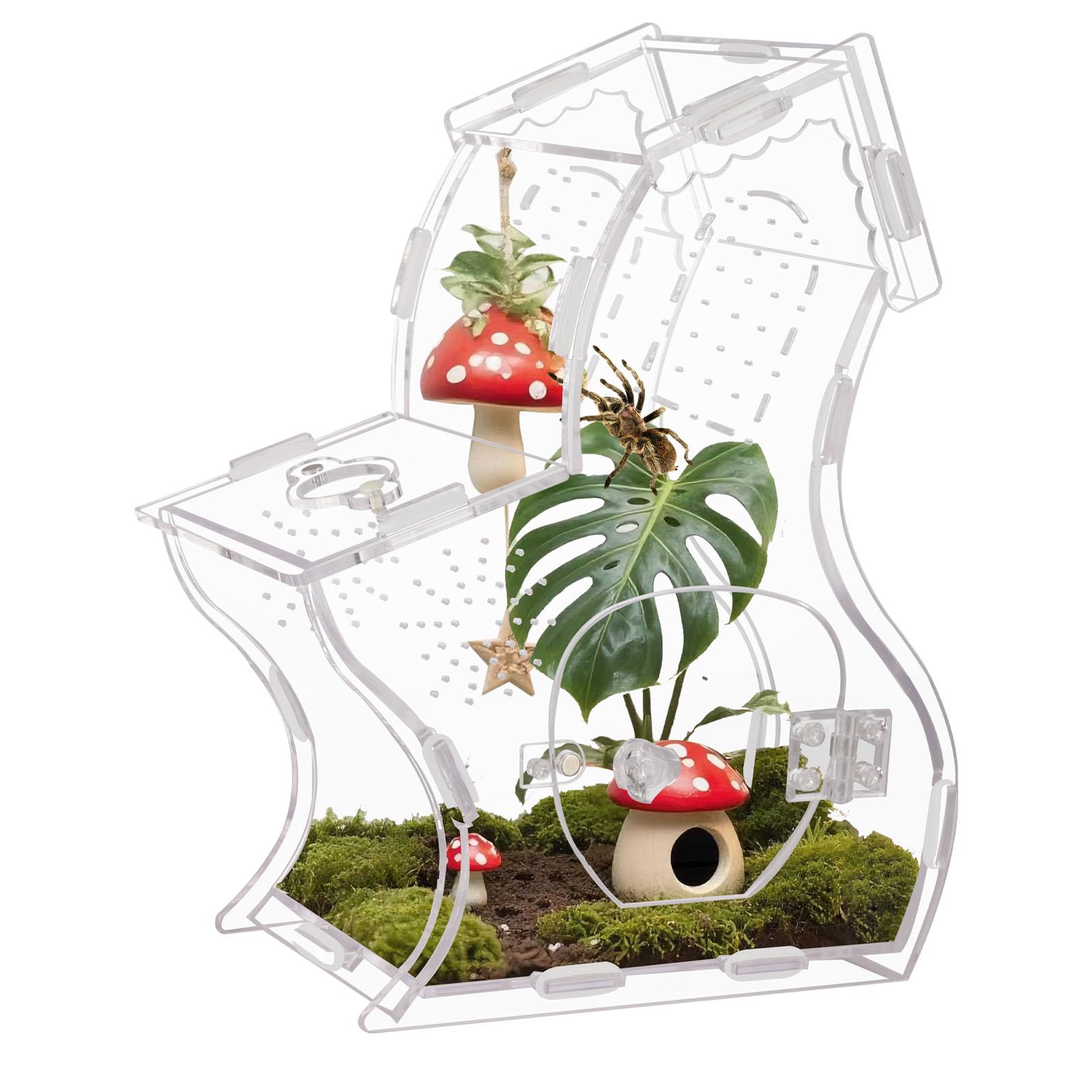 Premium 3mm Acrylic Terrarium for Jumping Spiders &amp; Tarantulas | 5.9"x9.4"x3.5" Tall Arboreal Enclosure with Magnetic Doors &amp; 1mm Micro-Vents | Escape-Proof Habitat for Mantis, Reptiles, Frogs