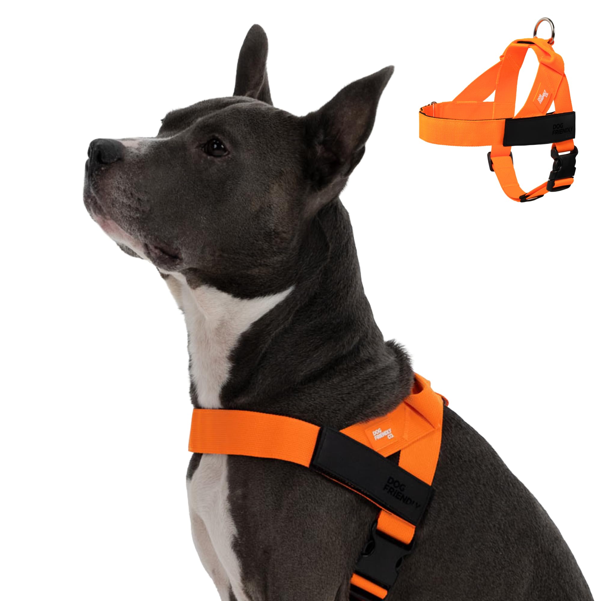 Dog Friendly Co. Pettorina per cani, design anti-tiro, arancione ad alta visibilità, taglia M