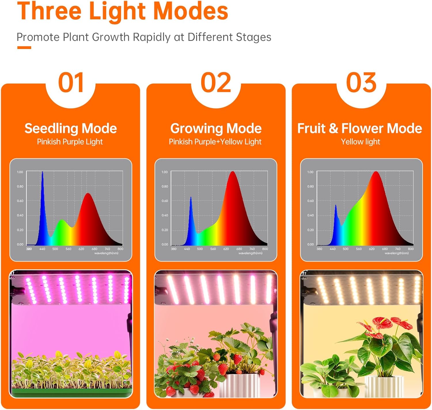 Three Light Modes for Plant Growth