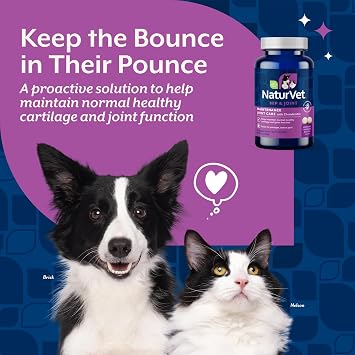 NaturVet Glucosamine DS Level 1 Maintenance Care Hip & Joint Support Pet Supplement for Dogs & Cats Glucosamine, Chondroitin, Antioxidants Supports Cartilage, Joint Function 60 Ct.