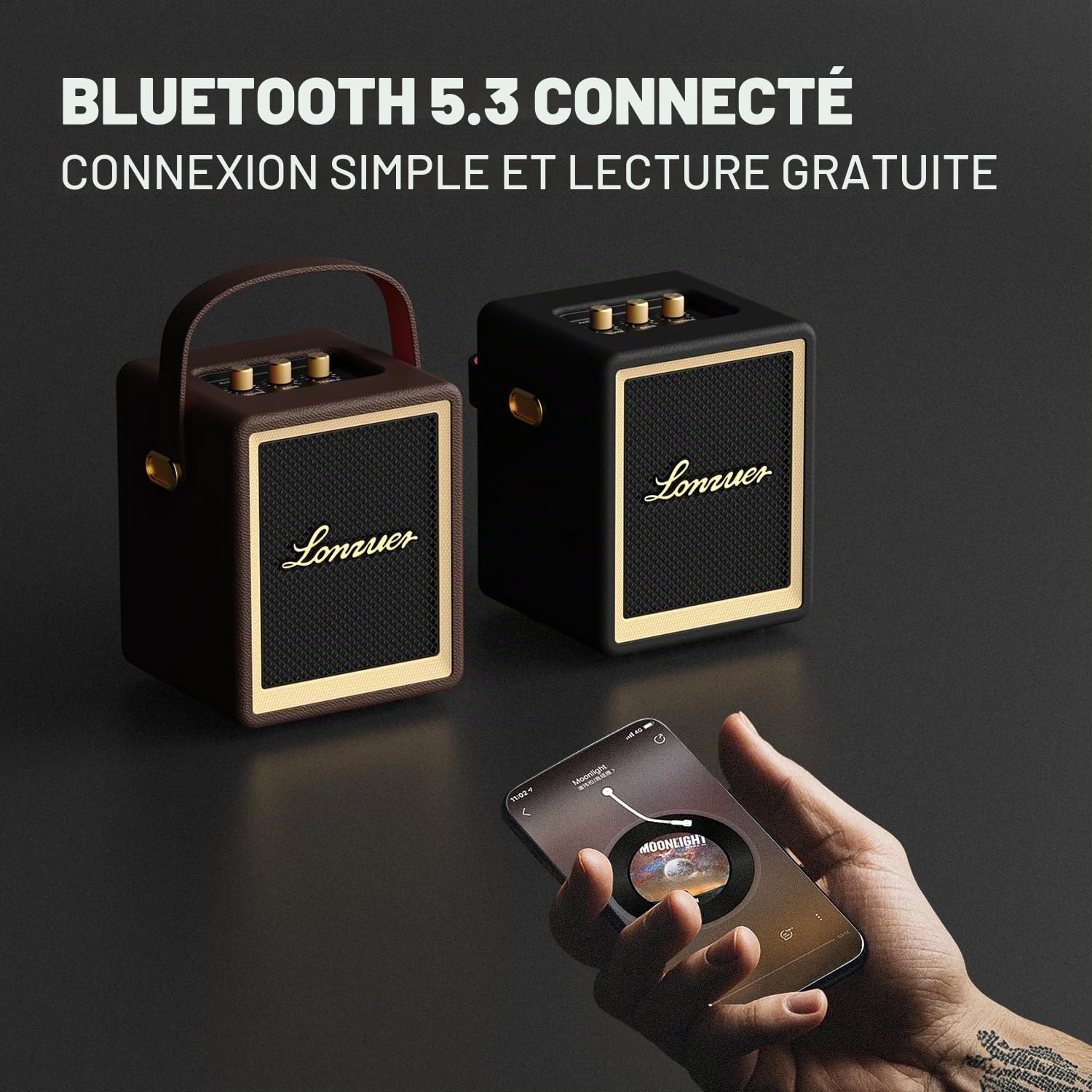 Enceinte Bluetooth Portable en Bois avec poignée, Petite Enceinte Portable avec Batterie de 5 000 mAh, Haut-parleurs Bluetooth sans Fil pour Campagne intérieure et extérieure (Brun)