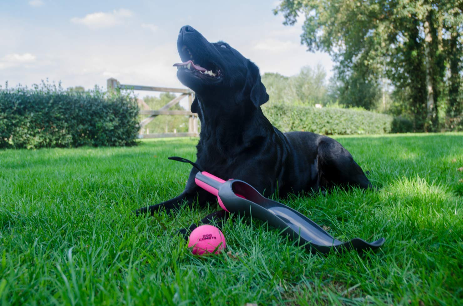 Pelotas De Juguete Para Perros Perro Cometas Estrella Lanzador Rosa