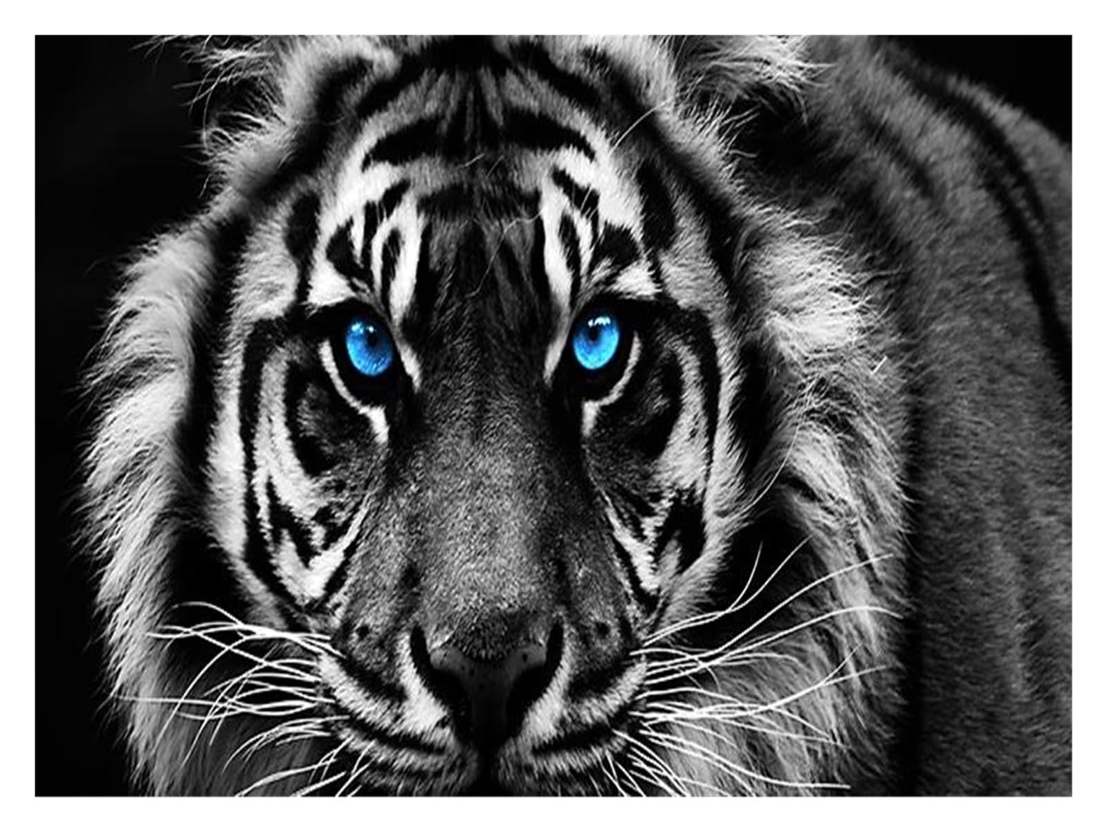 Lienzo de tigre en blanco y negro y carteles de arte de pared modernos