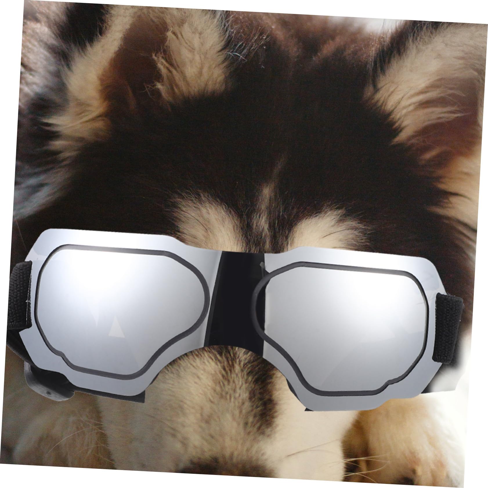 BESPORTBLE 5 Sztuk Okulary Dla Zwierząt Domowych Szczeniak Gogle Okulary Dla Zwierząt Domowych Dla Psa Party Dla Psa Gogle Dla Psów Zwierzęta Domowe Są Zwierzęta Domowe