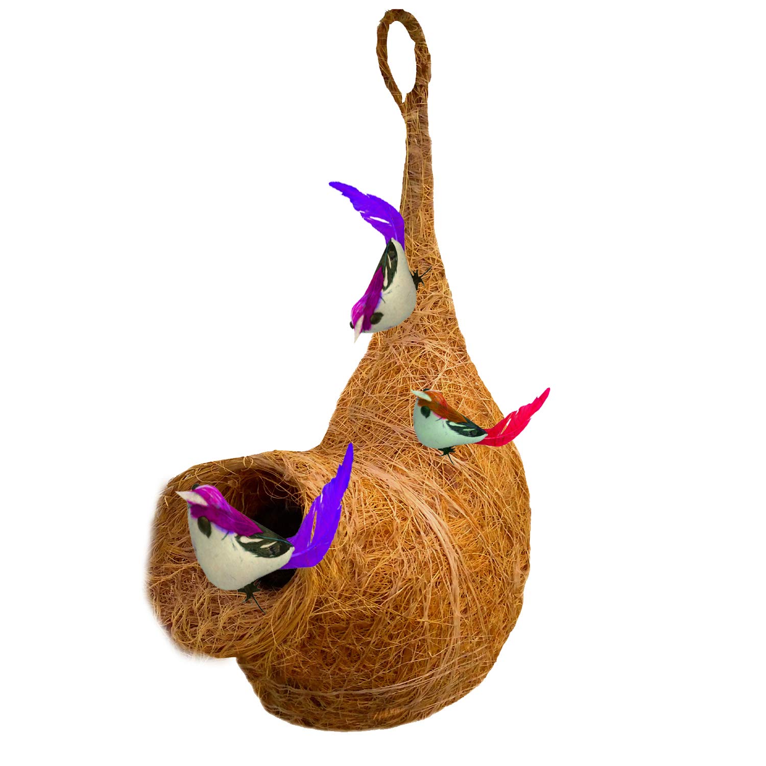 LIVEONCE Decorative Bird nest with 3 Birds-Natural Color