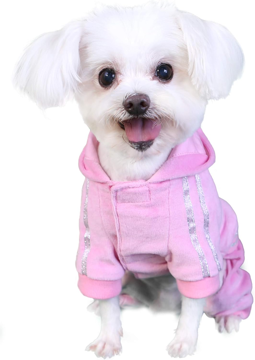 Pooch Outfitters Dog Loungewear & Sleepwear Collection | Extensive Selection of Comfortable Pajamas, Hoodies, Jumpers, Overalls | for Small, Medium, Large Dogs