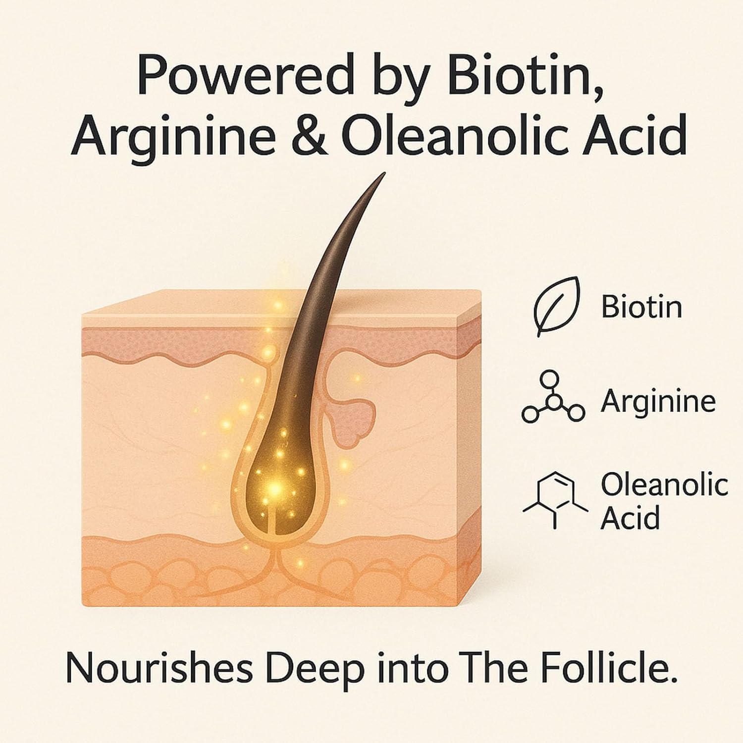 Volumizing Shampoo, Champu Hair Loss Shampoo and Conditioner, Promotes Hair Growth l Oil Contro l Scalp Nourishment (1pcs) - Image 2