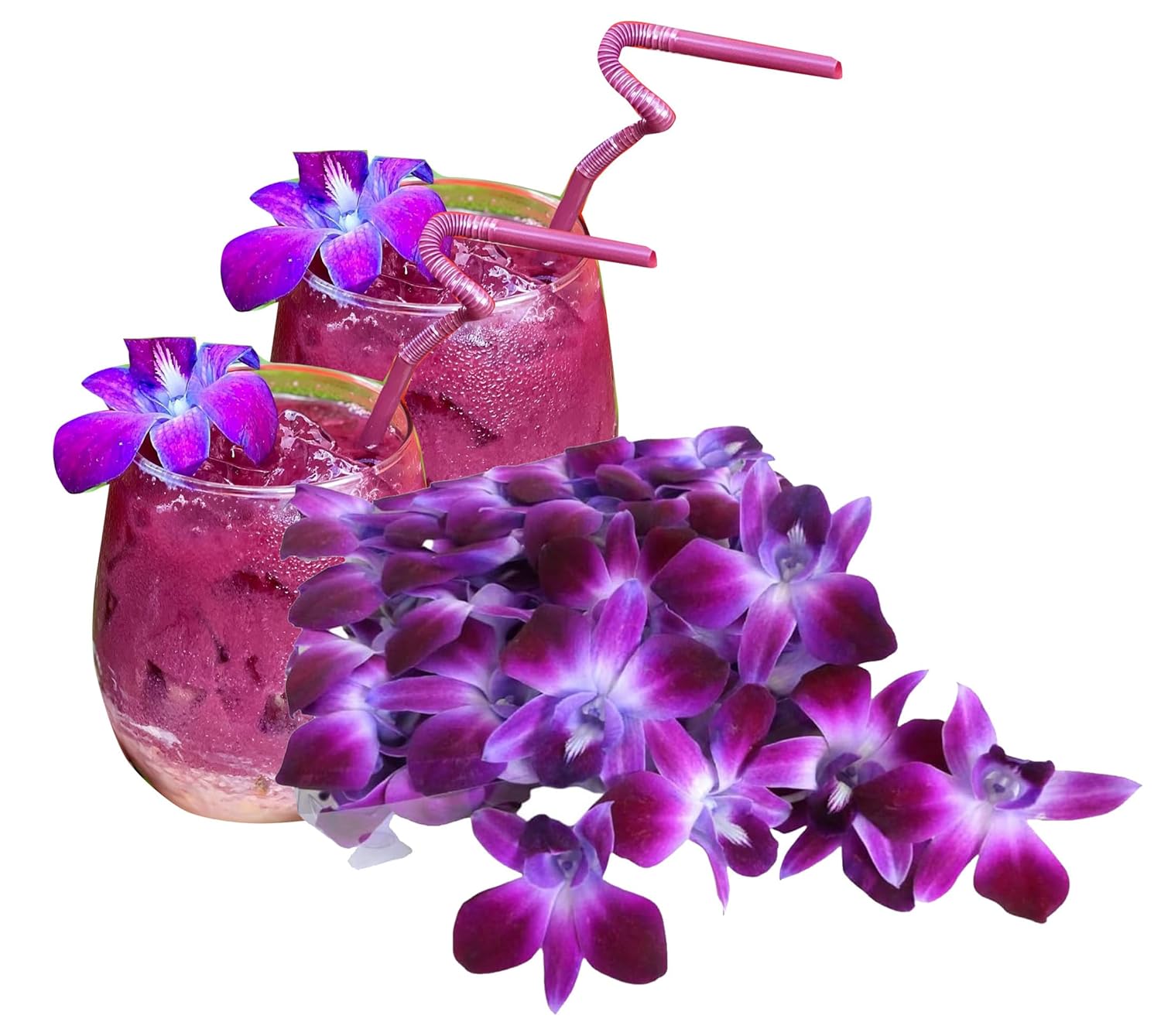 Miami Fresh Orchid Flower OrchidClub USA Sunne Tropical Loose Bloom Head DIY Lei food drink decoration PURPLE (50 Lavender Mauve)