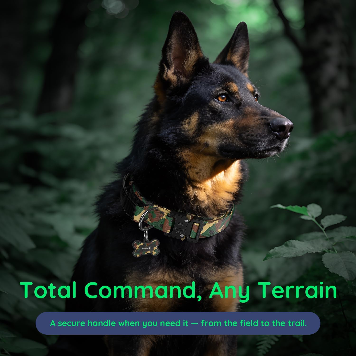WhoseID Premium Tactical Dog Collar - Adjustable Military Heavy Duty Dog Collar for Medium Large Dogs - Durable Metal Buckle Dog Collar with Leather Control Handle and Soft Comfortable Padding