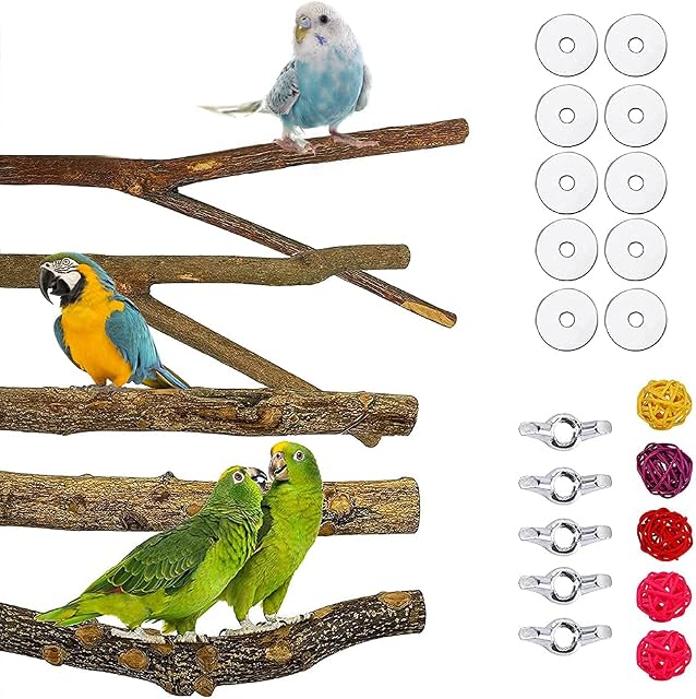 YeenGreen Bird Branches Perch, 5 Pcs Natural Wood Bird Y Perches, Bird Perch Natural Grape Stick, Bird Parrot Perches, 5 Pcs Rattan Balls for Parrots Birds Parakeets Cockatiels Finches Accessories