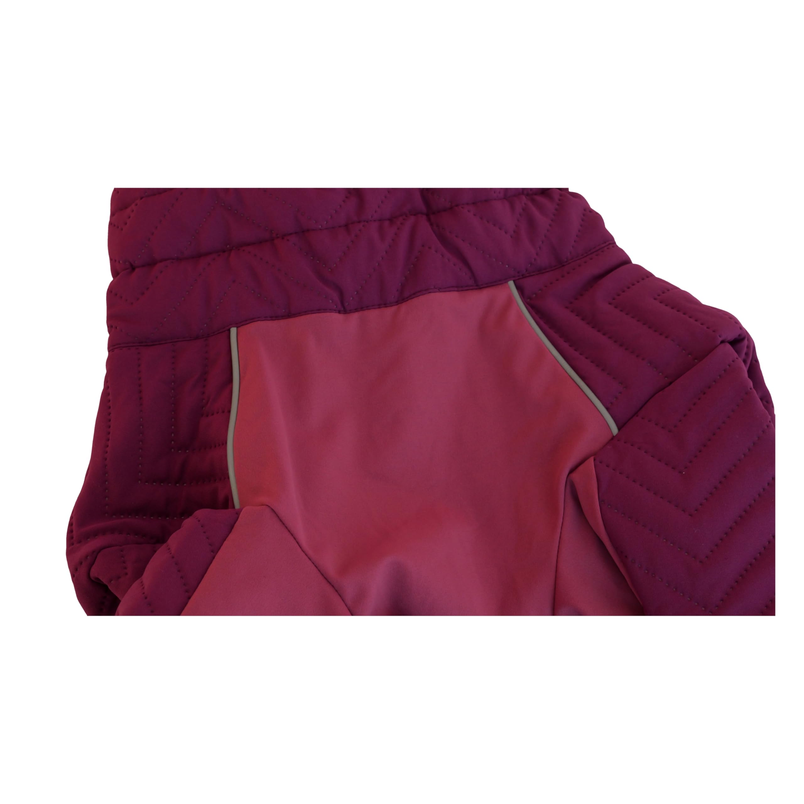 Chaleco cálido para perro, doble capa, 4 patas cubiertas, resistente al viento, impermeable, reflectante, morado, XS - L