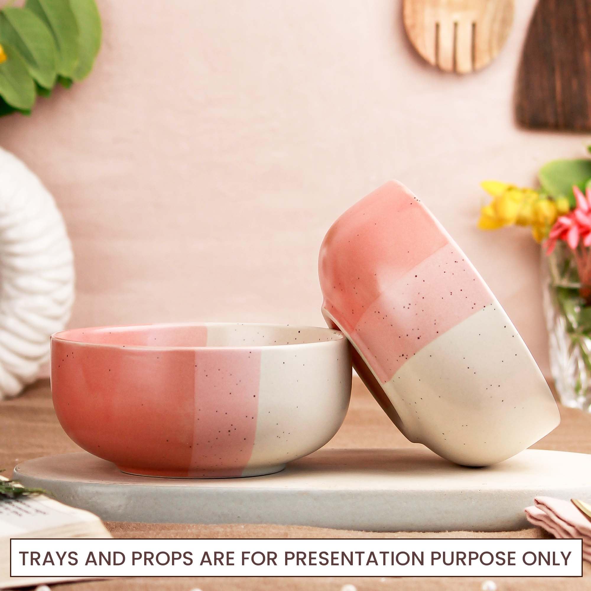 The Earth Store TT Pink Matte 500ML Ceramic Bowl Dishwasher & Microwave Safe Bowl Mixing Bowl for Snacks, Pasta, Rice, Dal, Fruits, Salad, Noodles, Maggi and More Serving Bowl- Set of 2 1