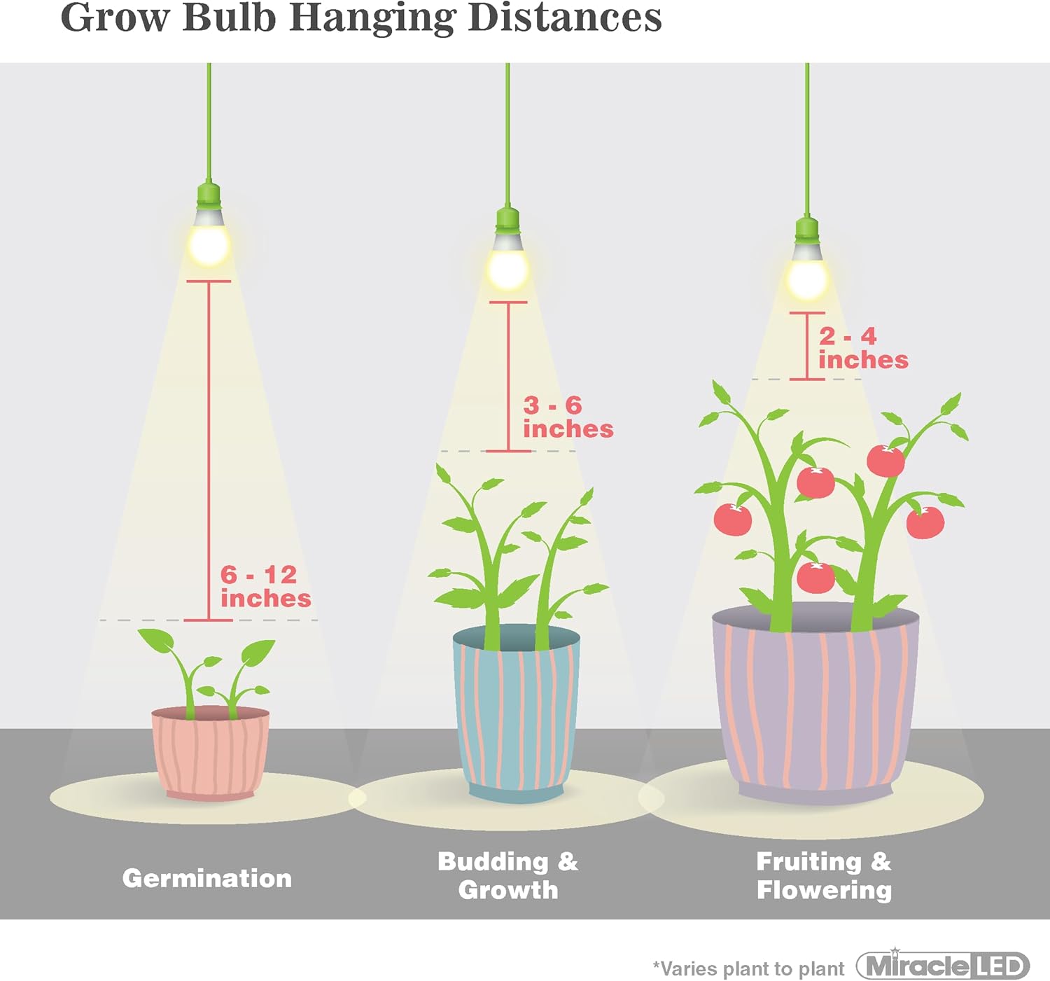 Miracle LED SmokePhonics Parsley Starter, Braided 4-Socket Grow Light Kit Blue Spectrum(2-Pack)
