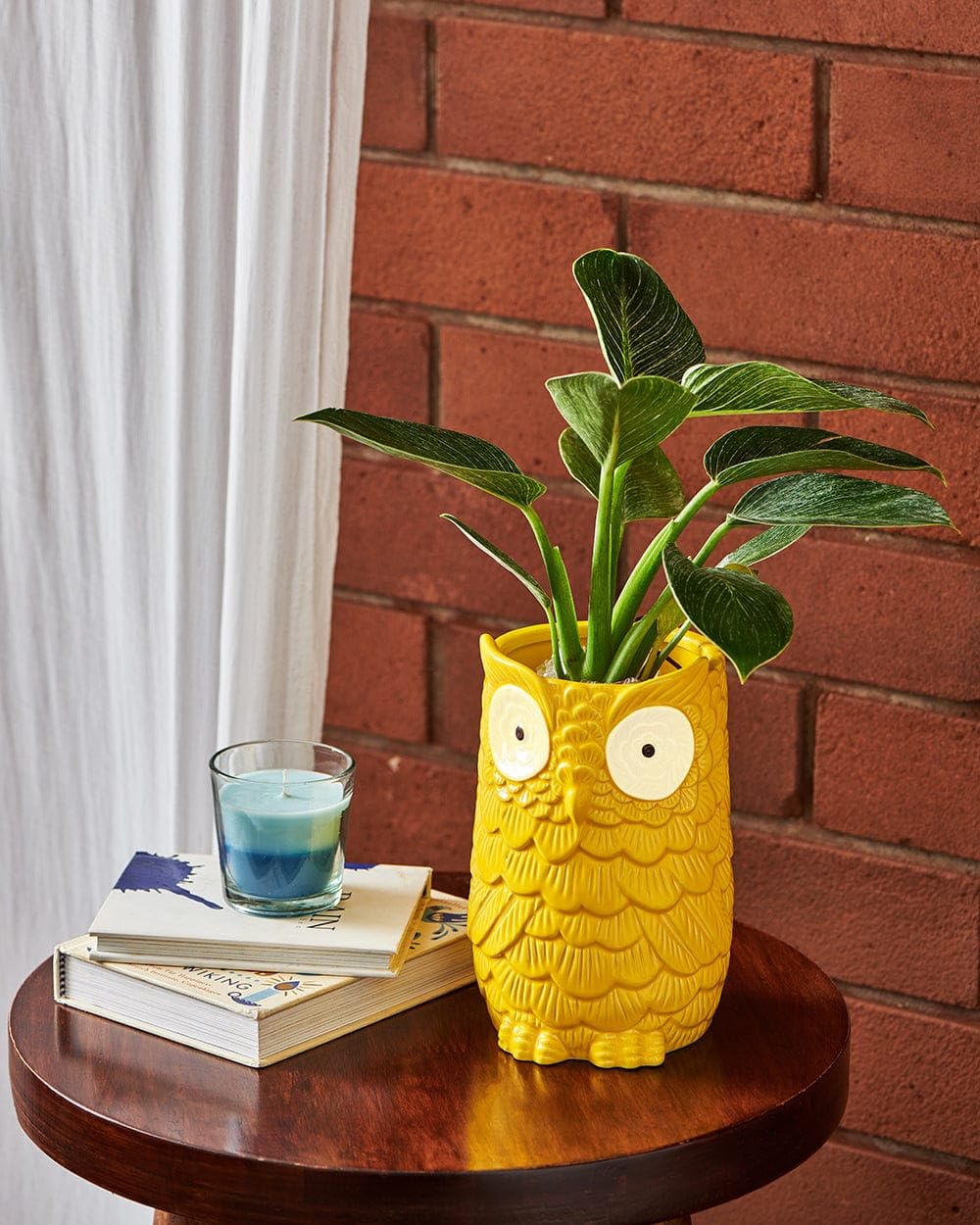 See full amazon price history chart for Yellow Owl Shaped Long Planter Pot | Decorative Indoor-Outdoor Plant Container | Garden Décor | Decor at Shelf, Table, Corner | Home, Office, 7 Inch Height 1 PCS Yellow Owl Shaped Long Planter Pot | Decorative Indoor-Outdoor Plant Container | Garden Décor | Decor at Shelf, Table, Corner | Home, Office, 7 Inch Height 1 PCS (B0DBG58NSQ) Amazon Price History, Amazon Price Tracker