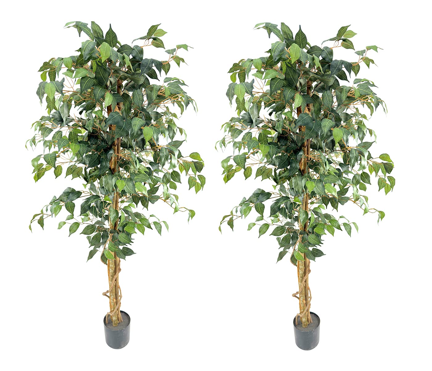 VIGGDA Artificial Ficus Trees 5ft?2pack? with Silk Leaves and Natural