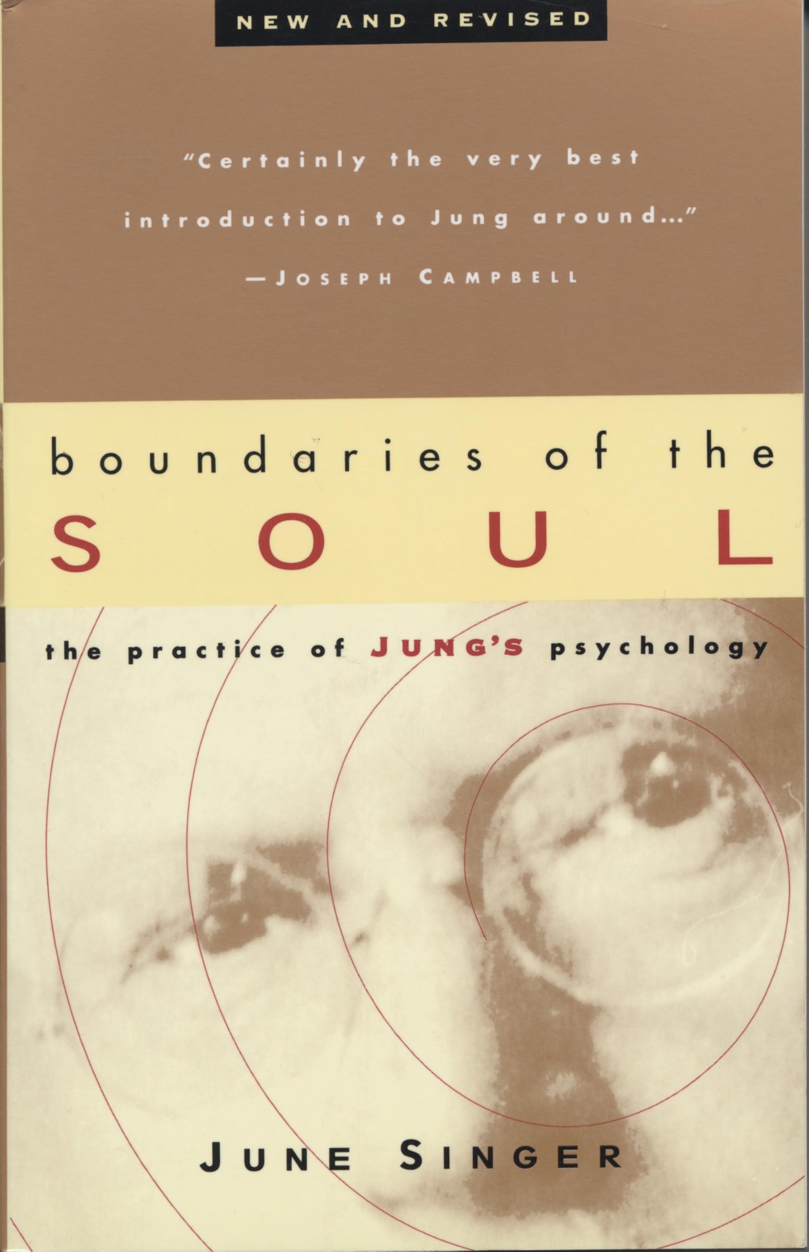 Boundaries of the Soul: The Practice of Jung's Psychology [Paperback] Singer, June