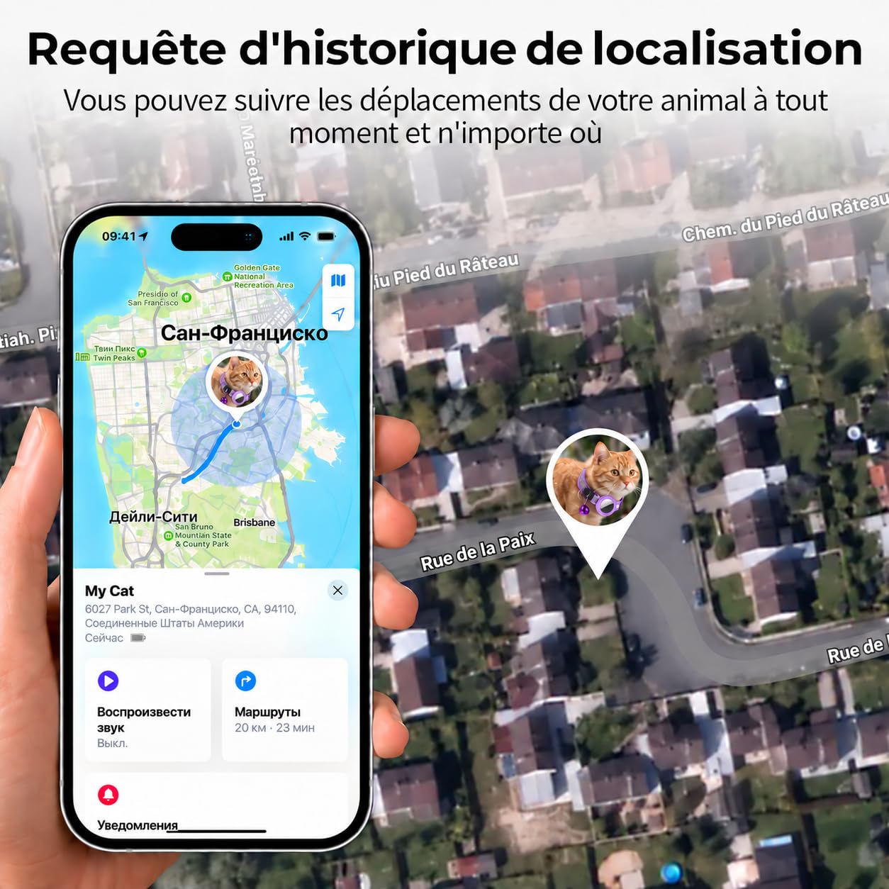 Localizzatore GPS per Gatto, GPS per Cani e Gatti Senza Abbonamento