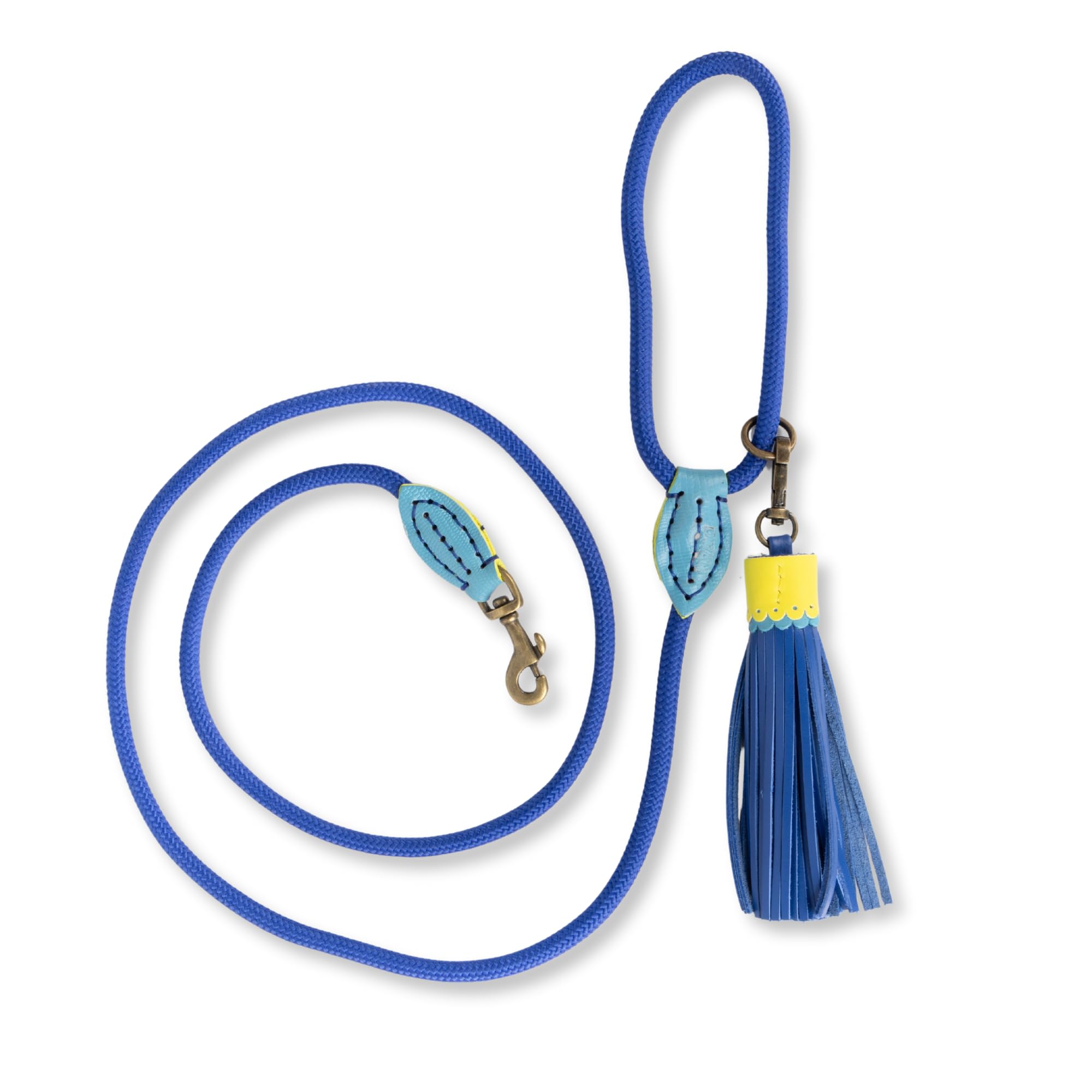 Dog with a Mission - Hundeleine S | Blaue Tauseilleine für kleine Hunde | Robuste Führleine mit Stabiler Karabinerhaken - 157 cm x 1 cm | Polyester & Leder - Leicht und stilvoll | Sky