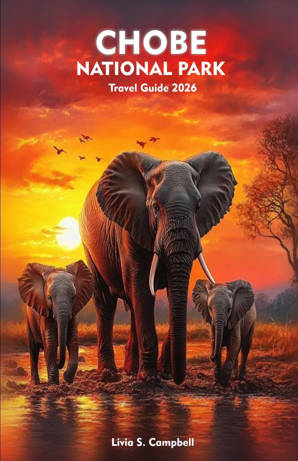 CHOBE NATIONAL PARK TRAVEL GUIDE 2026: Exploring Wildlife, Nature, and Local Culture in the Heart of Botswana