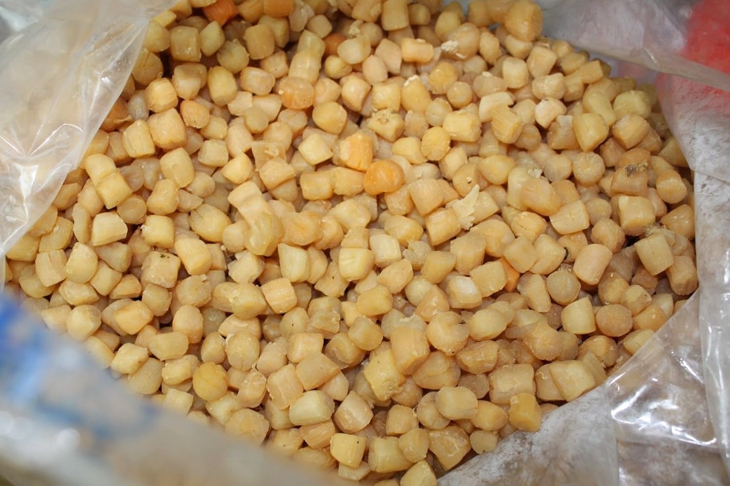 Dried Fresh scallops / Qingdao scallops 1KG 青島貝