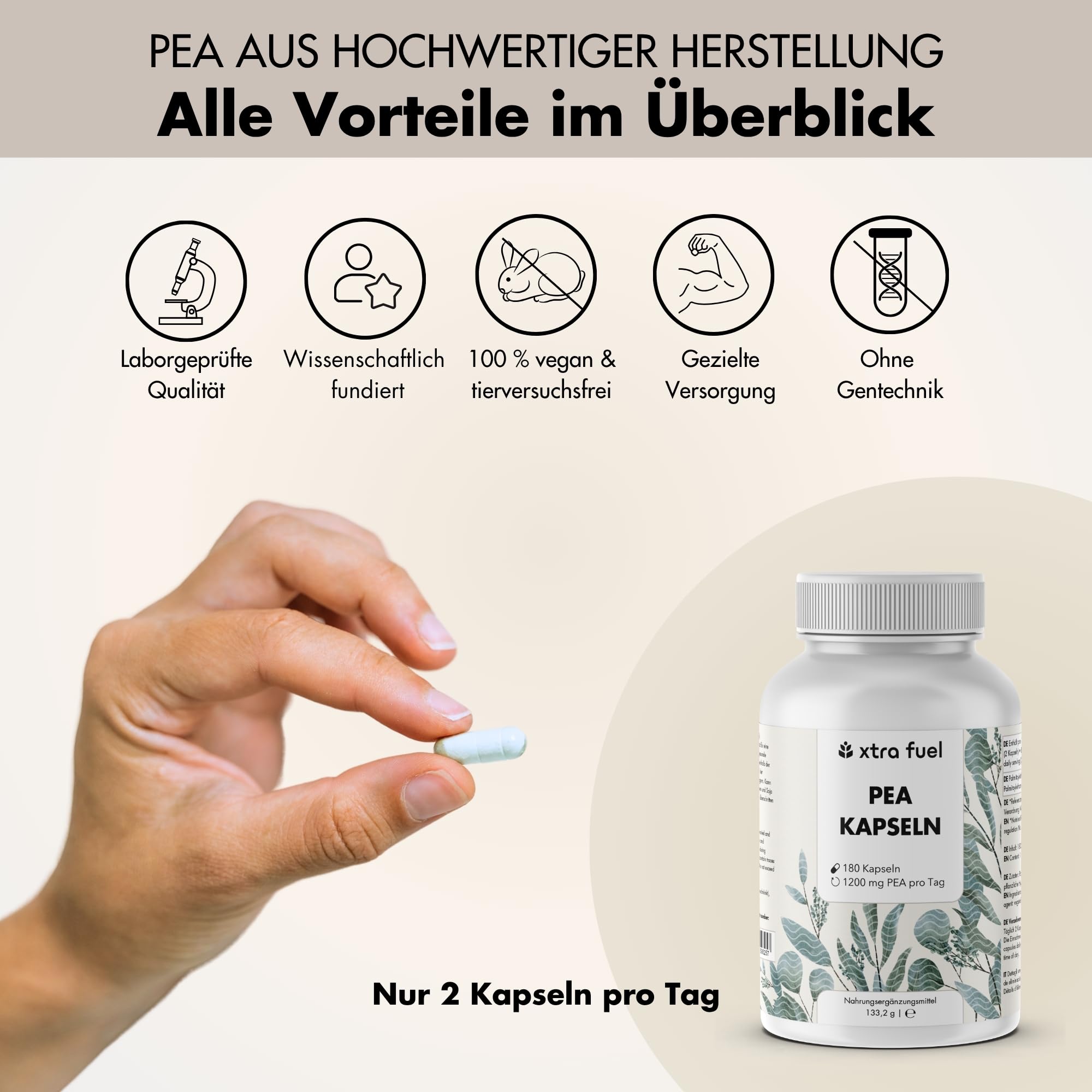 PEA Kapseln – 180 Kapseln hochdosiert - mikronisiertes Palmitoylethanolamid – 1200 mg pro Tagesdosis – vegan & laborgeprüft