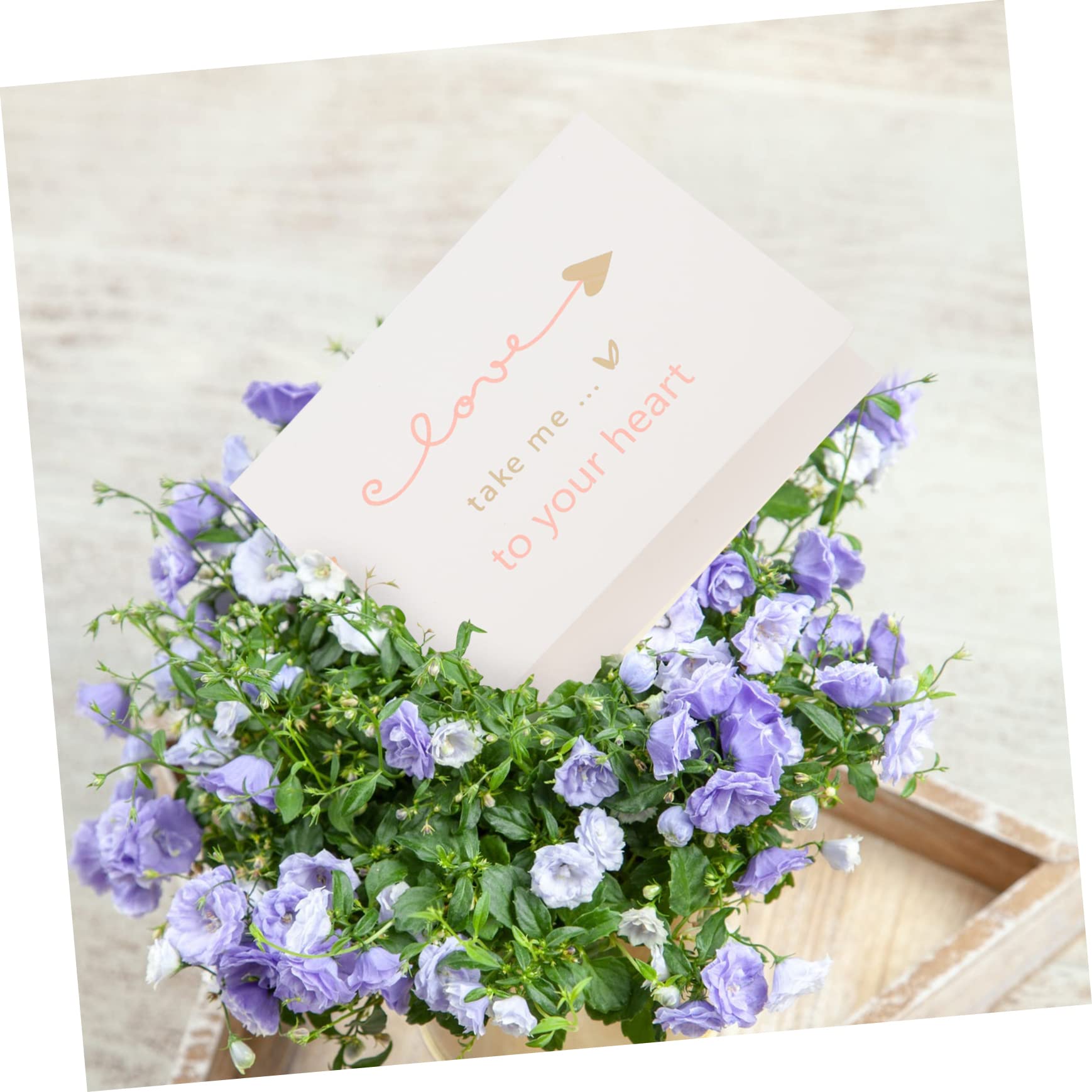 200pièces Cartes De Vœux Festives Cartes De Bénédiction Pour Anniversaires Thanksgiving Et Autres Célébrations Avec Fleurs