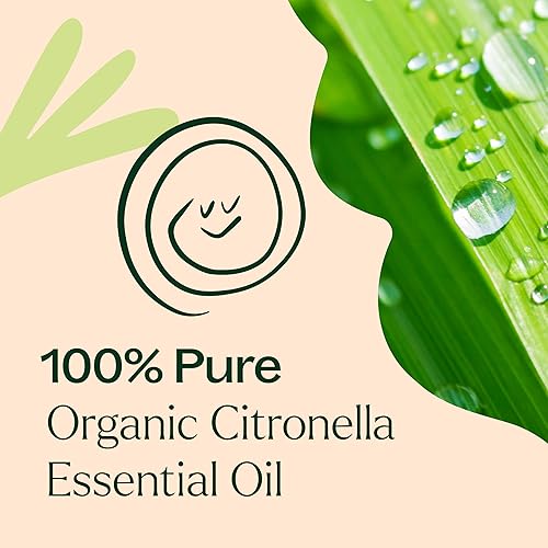 Miniatura 5 de Aceite orgánico esencial de citronella Plant Therapy con certificado USDA 100 % puro, sin diluir, grado terapéutico 1/3 onzas
