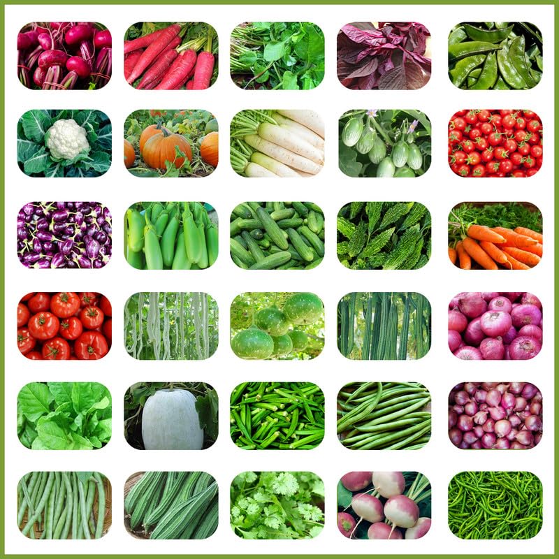 Elamgreen Vegetable seeds for home garden pack of 30 seeds hybrid easy to grow seeds for pot plants (B0DCYH86HK) Amazon Price History, Amazon Price Tracker